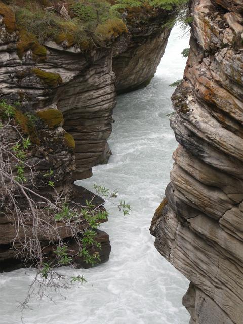 Canadian Rockies-290.JPG - Below Athabasca Falls